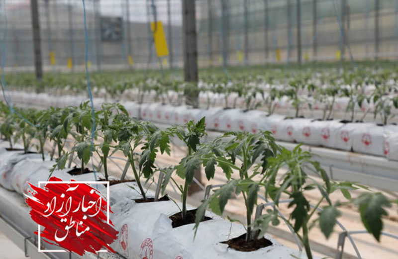 افتتاح یک واحد کشاورزی گلخانه‌ای در منطقه آزاد ارس همزمان با هفته دولت