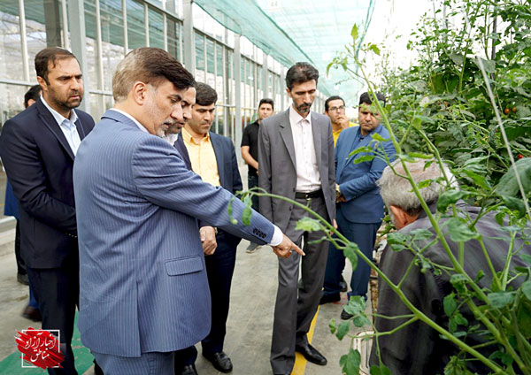 تکمیل زنجیره ارزش، راهبرد توسعه کشاورزی مدرن در منطقه آزاد ارس