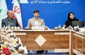 توسعه دیپلماسی اقتصادی و ارتقاء همکاری‌های منطقه‌ای با تشکیل مناطق آزاد مشترک