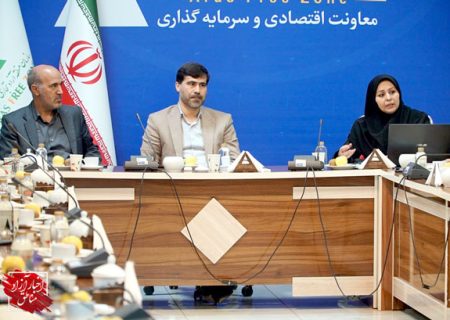 توسعه دیپلماسی اقتصادی و ارتقاء همکاری‌های منطقه‌ای با تشکیل مناطق آزاد مشترک
