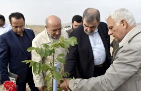 بازدید معاون اقتصادی رئیس‌جمهور از بزرگترین باغ گردو و پسته کشور در منطقه آزاد ماکو