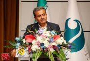 وجود سازمان‌های مناطق آزاد مقتدر و قوی، خواسته بخش خصوصی است