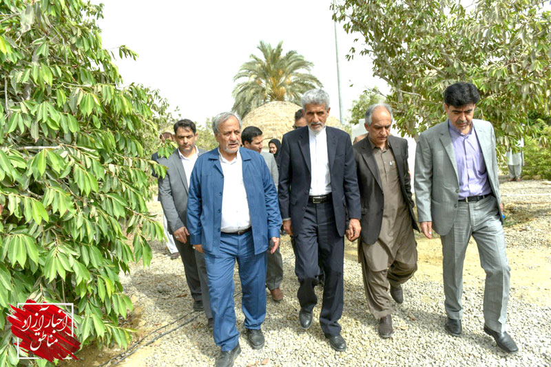سفر استاندار سیستان و بلوچستان و معاون نهاد ریاست جمهوری به منطقه آزاد چابهار
