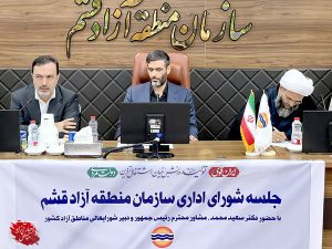 ارائه گزارش به سازمان بازرسی درخصوص موانع اجرای حاکمیت متمرکز در منطقه آزاد قشم