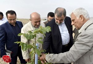 بازدید معاون اقتصادی رئیس‌جمهور از بزرگترین باغ گردو و پسته کشور در منطقه آزاد ماکو