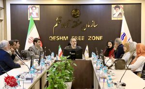 فعال‌سازی دیپلماسی سیاسی و اقتصادی کشور با توسعه صنعت گردشگری جزیره قشم